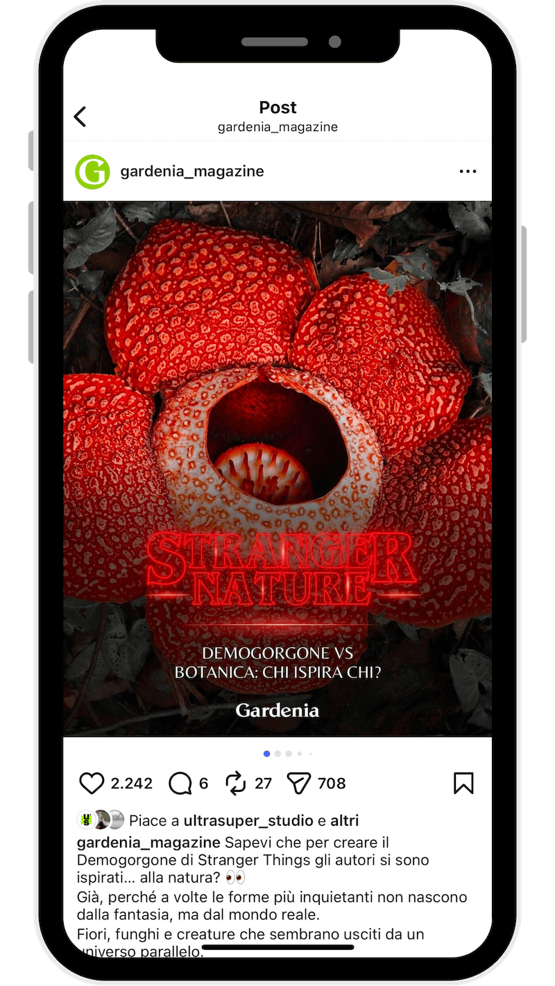 Gardenia post Instagram 2