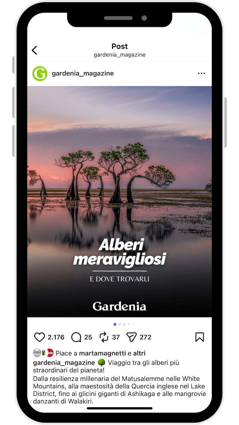 Gardenia post Instagram 3