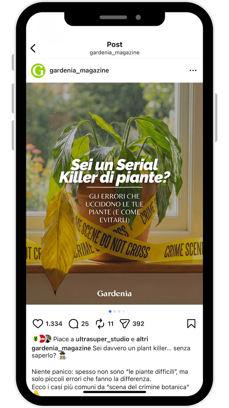 Gardenia post Instagram